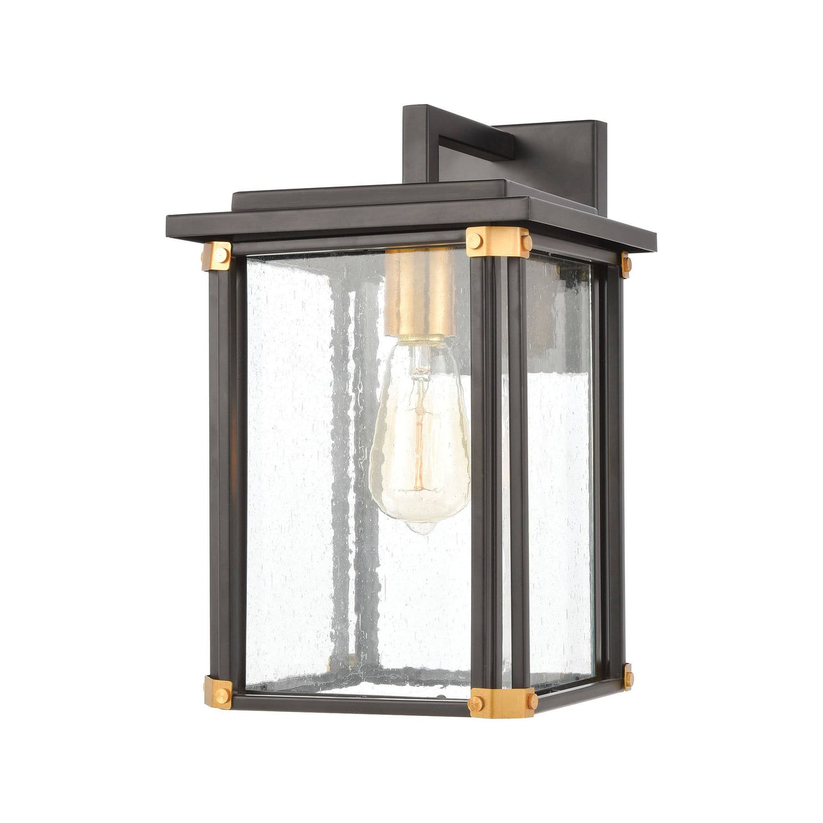 Matte Black 1-Light Sconce with Seedy Glass T1745