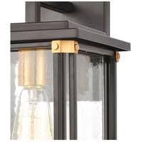 Matte Black 1-Light Sconce with Seedy Glass T1745