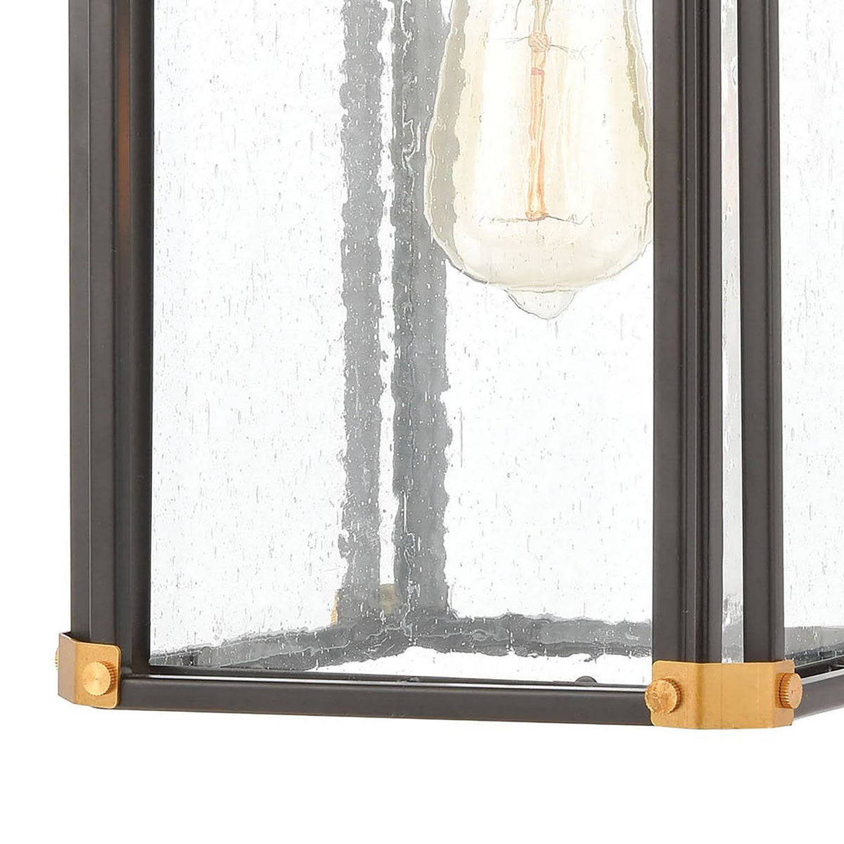 Matte Black 1-Light Sconce with Seedy Glass T1745