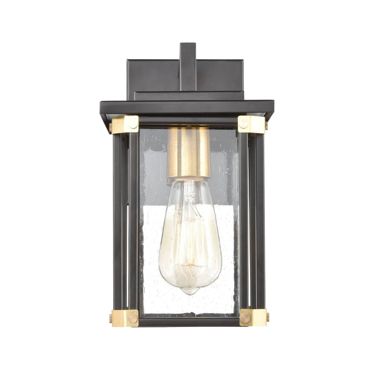 Matte Black 1-Light Sconce with Seedy Glass T1745