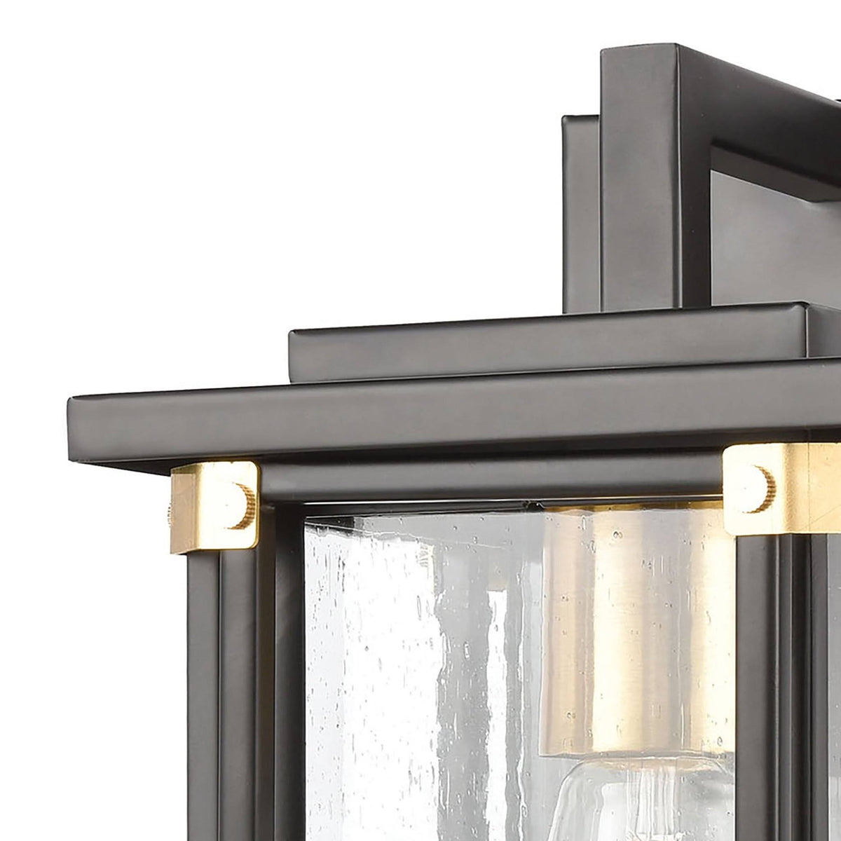 Matte Black 1-Light Sconce with Seedy Glass T1745